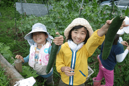 Children engaged in activities at the Ichimura Nature School